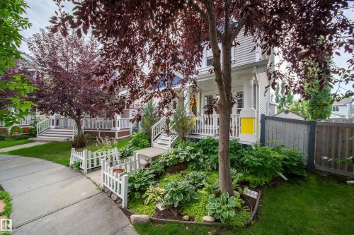 Siding exterior with a covered front porch featuring white railings, surrounded by mature trees and varied landscaping - 7239 21 Avenue Sw, Edmonton, AB - Outdoor