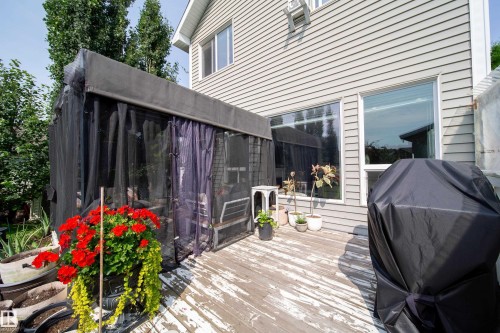 Expansive wood deck with a screened enclosure, large windows, and horizontal siding - 7239 21 Avenue Sw, Edmonton, AB - Outdoor With Deck Patio Veranda