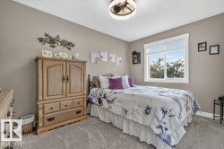 Neutral wall color, window with white trim, ceiling fan light fixture, textured ceiling, and gray carpeted flooring - 