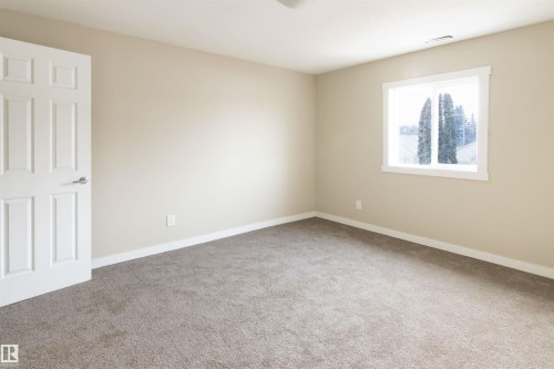 11029 95 Street Nw, Edmonton, AB - Indoor Photo Showing Other Room