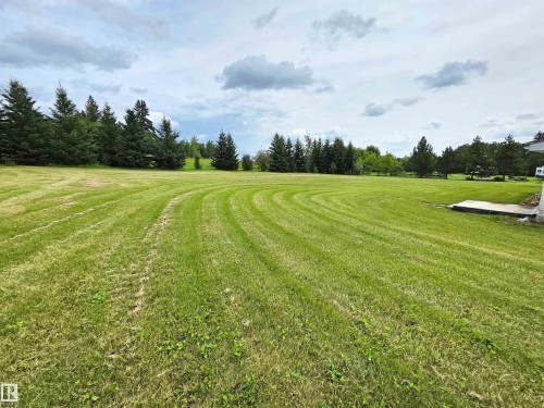 Expansive lawn with mature evergreen trees - Rural St. Paul County, AB 