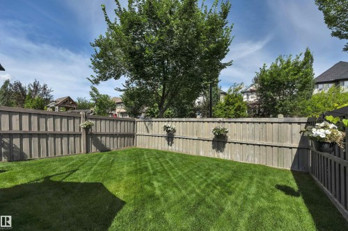 2289 Austin Way Sw, Edmonton, AB - Outdoor With Backyard