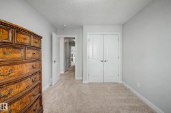 Light gray wall paint, white trim, and neutral carpeting - 