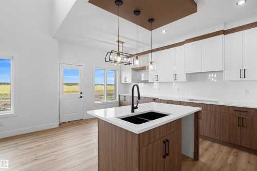 782 Bank Drive, Leduc, AB - Indoor Photo Showing Kitchen With Double Sink