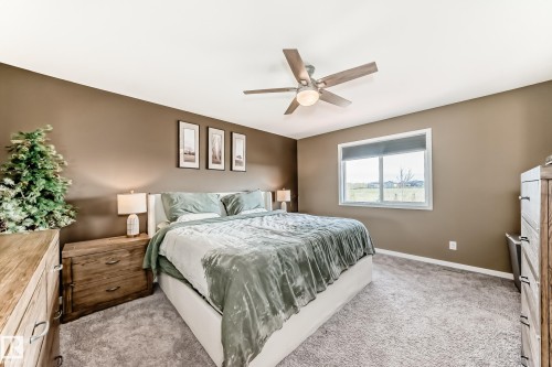 17207 64 Street Nw, Edmonton, AB - Indoor Photo Showing Bedroom