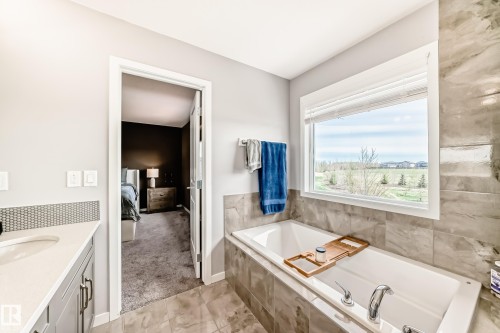 17207 64 Street Nw, Edmonton, AB - Indoor Photo Showing Bathroom