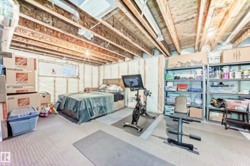 17207 64 Street Nw, Edmonton, AB - Indoor Photo Showing Gym Room