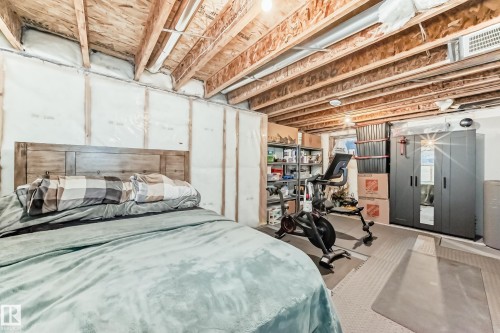 17207 64 Street Nw, Edmonton, AB - Indoor Photo Showing Basement