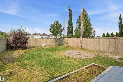 Expansive backyard featuring a natural grass lawn, wood plank fencing, mature trees, and a ground-level planter box - 714 87 Street Sw, Edmonton, AB - Outdoor With Backyard