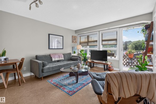 #301 9603 98 Av Nw, Edmonton, AB - Indoor Photo Showing Living Room