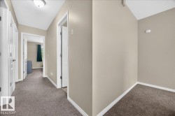 Bright hallway with neutral taupe walls, white trim, and plush carpeting throughout - 