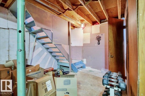 13225 47 Street Nw, Edmonton, AB - Indoor Photo Showing Basement