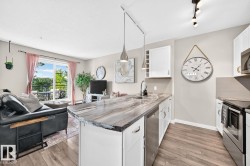 #238 1008 Rosenthal BV NW  Edmonton, AB T5T 7J4