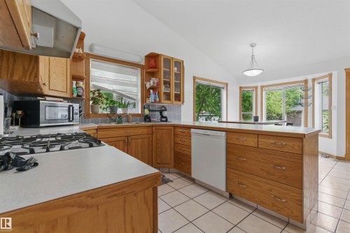 9716 160 Street Nw, Edmonton, AB - Indoor Photo Showing Kitchen With Double Sink