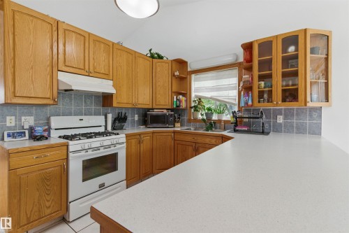 9716 160 Street Nw, Edmonton, AB - Indoor Photo Showing Kitchen With Double Sink