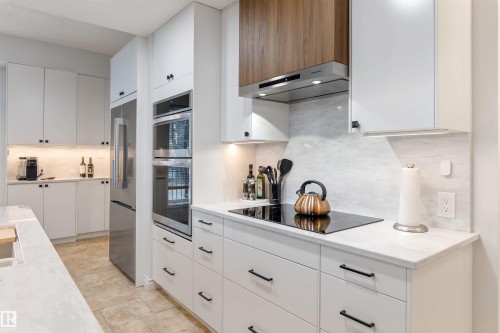 #105 10108 125 St Nw, Edmonton, AB - Indoor Photo Showing Kitchen With Upgraded Kitchen