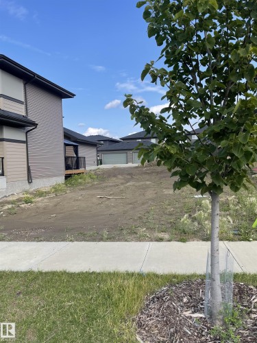 Newly constructed residence featuring modern siding exterior, concrete driveway, and landscaped grounds with young trees and mulched planting beds - 4537 Knight Wynd Sw, Edmonton, AB 