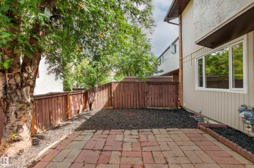 Spacious backyard retreat featuring a brick-laid patio, wood-finish fencing, and mature shade trees providing natural canopy coverage - #9 14230 80 St Nw, Edmonton, AB - Outdoor