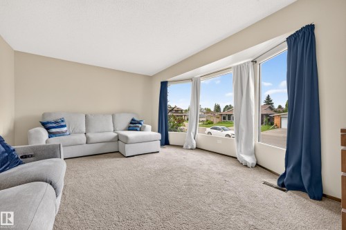 11727 27 Avenue Nw, Edmonton, AB - Indoor Photo Showing Living Room