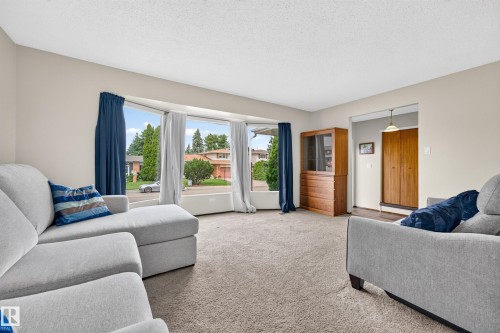 11727 27 Avenue Nw, Edmonton, AB - Indoor Photo Showing Living Room