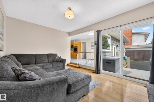 11727 27 Avenue Nw, Edmonton, AB - Indoor Photo Showing Living Room