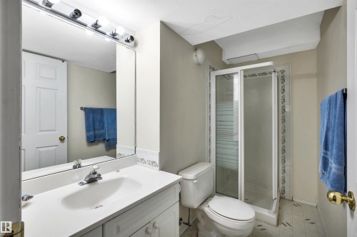20 Highland Crescent, St. Albert, AB - Indoor Photo Showing Bathroom