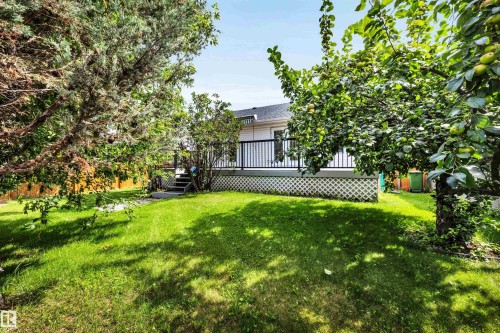 20 Highland Crescent, St. Albert, AB - Outdoor With Deck Patio Veranda