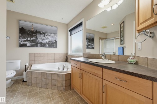1846 Towne Centre Boulevard Nw, Edmonton, AB - Indoor Photo Showing Bathroom