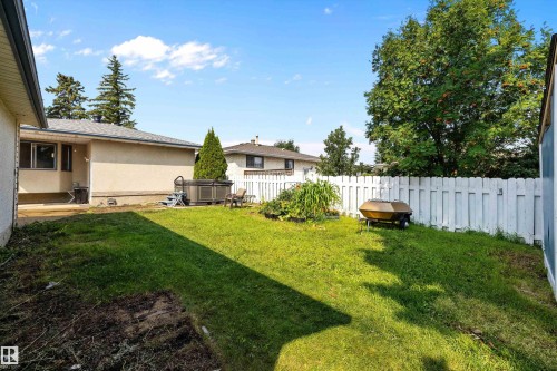 Expansive backyard with mature landscaping, mature trees, and mature evergreens providing natural privacy - 3511 73 Street Nw, Edmonton, AB 