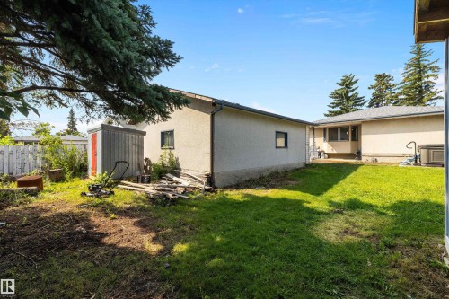 Expansive backyard featuring mature evergreen trees, manicured lawn, and established landscaping - 3511 73 Street Nw, Edmonton, AB 