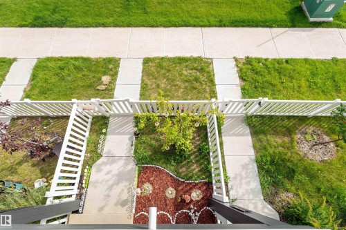 Front yard with concrete walkways, white picket fencing, and planted areas - 1172 Aster Boulevard Nw Nw, Edmonton, AB - Outdoor
