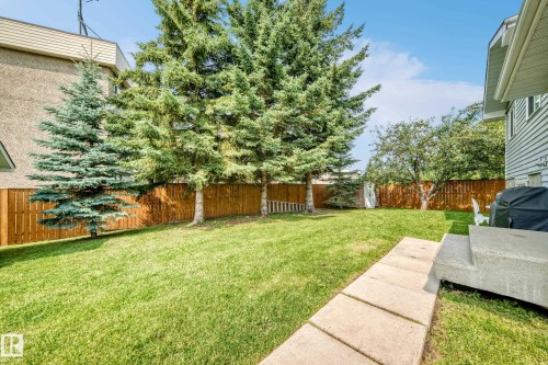Expansive backyard featuring a manicured lawn, established trees, wood fencing, and concrete steps with a paver walkway - 2404 37 Street Nw, Edmonton, AB - Outdoor