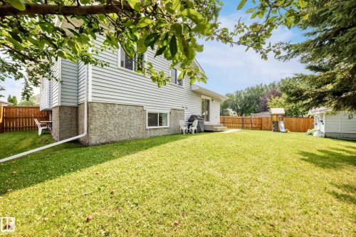 Expansive grassy yard with mature trees, privacy fencing, and a ground-level deck - 2404 37 Street Nw, Edmonton, AB - Outdoor