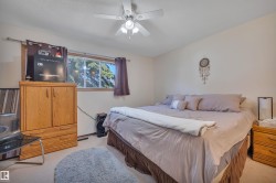 Bedroom featuring carpet flooring, a ceiling fan with integrated lighting, and a window with wood trim - 