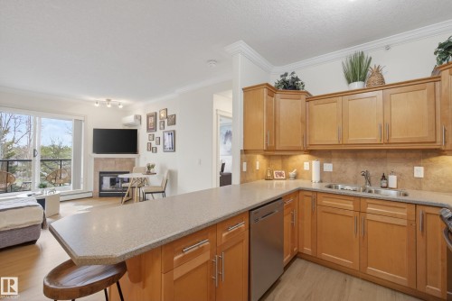 #303 8631 108 St Nw, Edmonton, AB - Indoor Photo Showing Kitchen With Double Sink
