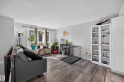 Bright, open living space featuring wood-finish flooring, a charcoal upholstered sofa, and expansive built-in shelving with display storage - 