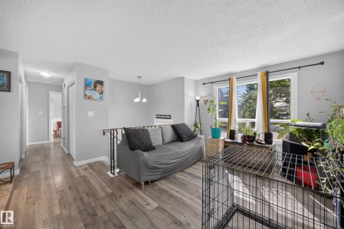 Bright living area showcasing wood-finish flooring, large multi-pane windows with natural light, gray upholstered seating, pendant lighting, and access to outdoor space with mature landscaping visible beyond - 156 Clareview Road Nw, Edmonton, AB - Indoor Photo Showing Living Room
