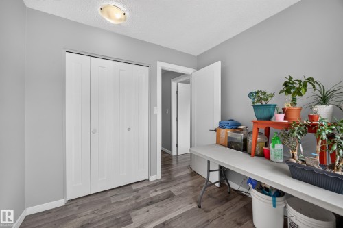 Wood-finish flooring, white bi-fold closet doors, light gray wall paint, and a ceiling-mounted light fixture - 156 Clareview Road Nw, Edmonton, AB - Indoor