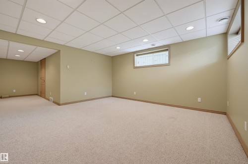 708 Haliburton Crescent Nw, Edmonton, AB - Indoor Photo Showing Basement