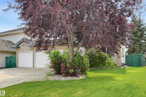 708 Haliburton Crescent Nw, Edmonton, AB - Outdoor
