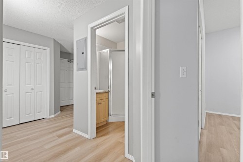 Light wood-finish flooring, white paneled doors, and a bathroom vanity with a light-toned countertop - #404 11103 84 Av Nw, Edmonton, AB - Indoor Photo Showing Other Room