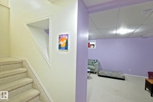 Carpeted staircase with white trim, leading to a finished basement featuring a drop ceiling, lavender-painted walls, and a small window - #42 4350 23 St Nw, Edmonton, AB - Indoor Photo Showing Other Room