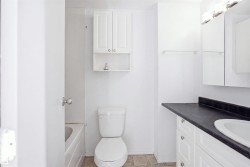White vanity with black countertop and integrated sink, white wall-mounted medicine cabinet, toilet, and white wall-mounted storage cabinet - 