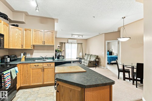 #403 10046 110 St Nw, Edmonton, AB - Indoor Photo Showing Kitchen With Double Sink