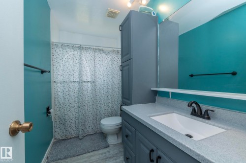 14215 78 Street Nw, Edmonton, AB - Indoor Photo Showing Bathroom