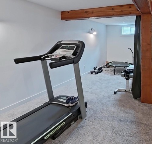 2725 104A Street Nw, Edmonton, AB - Indoor Photo Showing Gym Room