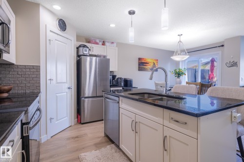 1747 Hammond Crescent Nw, Edmonton, AB - Indoor Photo Showing Kitchen With Double Sink