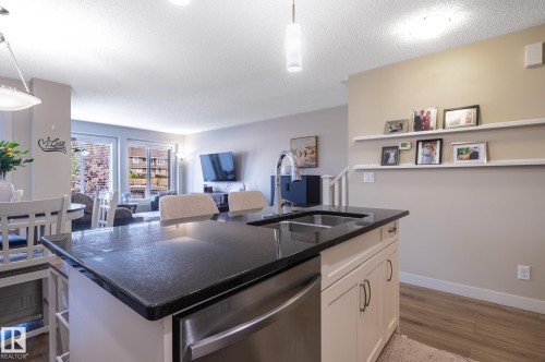 1747 Hammond Crescent Nw, Edmonton, AB - Indoor Photo Showing Kitchen With Double Sink