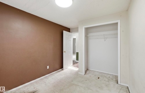 Carpeted flooring, built-in closet with shelving, interior door, and ceiling-mounted light fixture - 13604 90A Street Nw, Edmonton, AB - Indoor Photo Showing Other Room