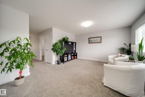 7314 Edgemont Way Nw, Edmonton, AB - Indoor